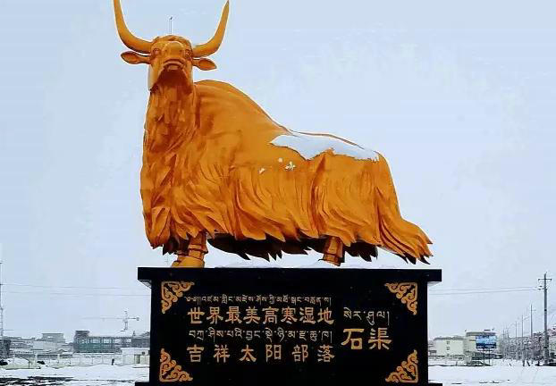 【爱在石渠】跨越4000米的海拔，我们把公益带到了高原上(图2)